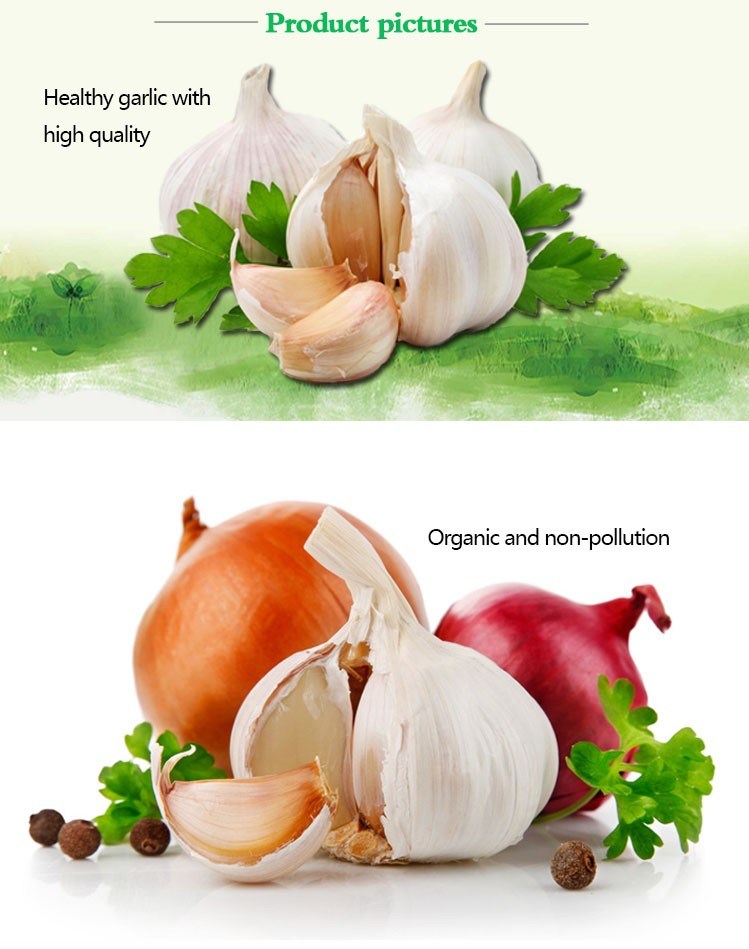 2018 China/Chinese Wholesale Garlic Price - New Crop, Hot Sales