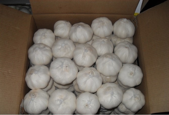 2018 China/Chinese Wholesale Garlic Price - New Crop, Hot Sales