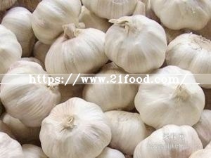 2018 China/Chinese Wholesale Garlic Price - New Crop, Hot Sales
