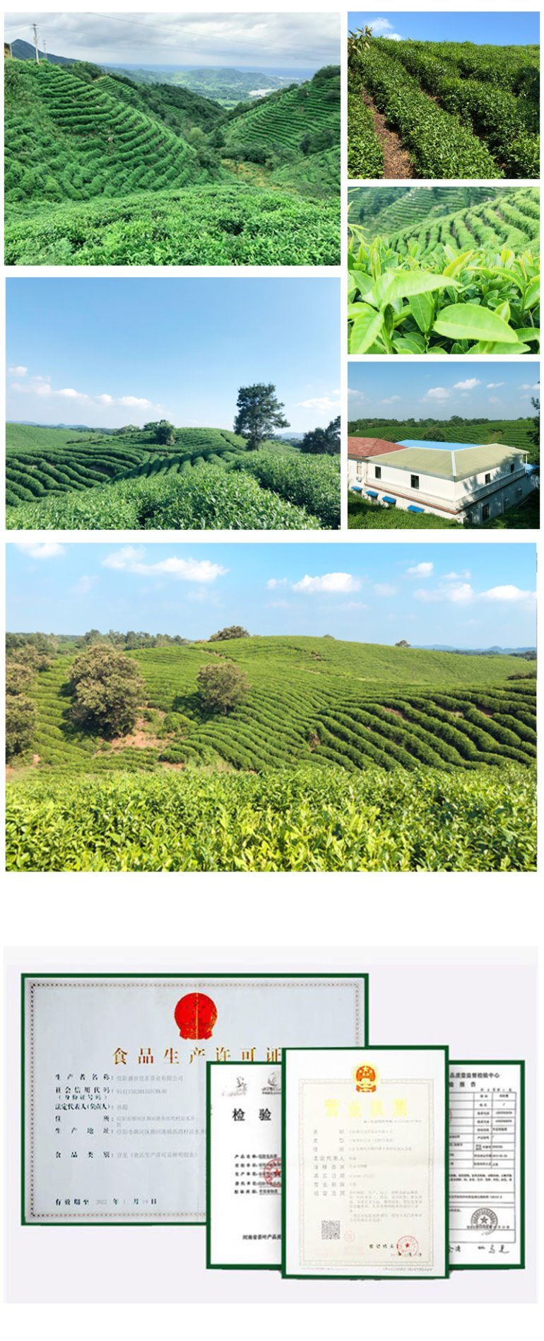 Keemun Black Tea with Wonderful Fresh Tasting