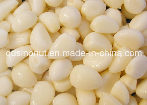 EU Level, Janpan Level Garlic Cloves in Brine