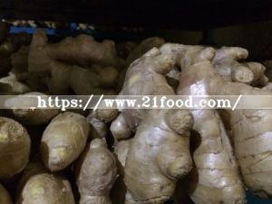 Dry Ginger (EU quality)