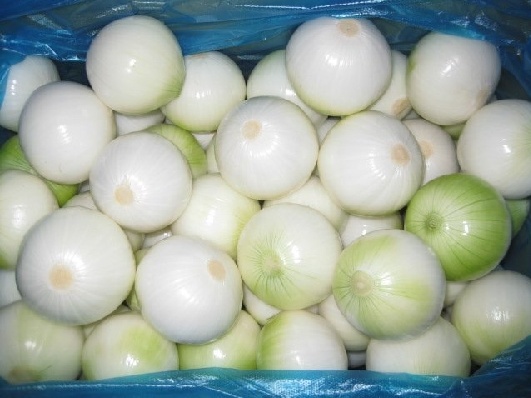 Chinese Fresh New Crop Peeled Onion (6-8cm)