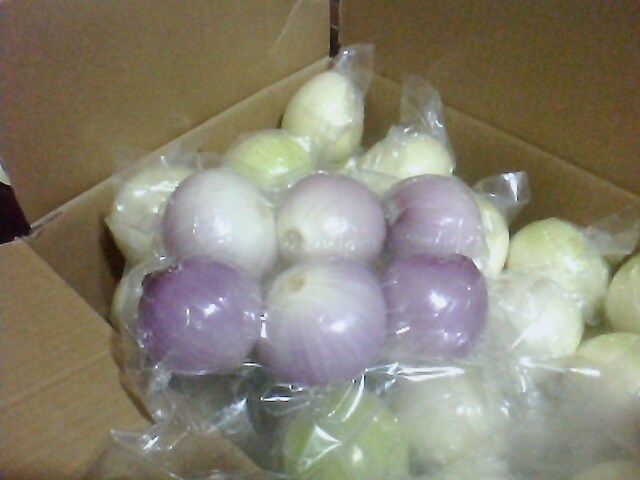 Chinese Fresh New Crop Peeled Onion (6-8cm)