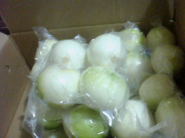 Hot Sale 2019 New Crop Onion, Which Is Now in The Store