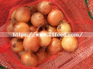 Hot Sale 2019 New Crop Onion, Which Is Now in The Store