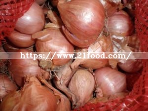 Hot Sale 2019 New Crop Onion, Which Is Now in The Store