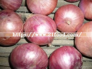 China New Crop Fresh Red Onion