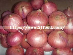 China New Crop Fresh Red Onion
