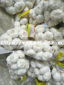 Garlic Packing in Mesh Bag