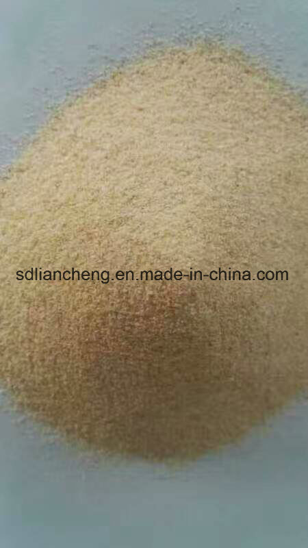 Garlic Granules and Powder