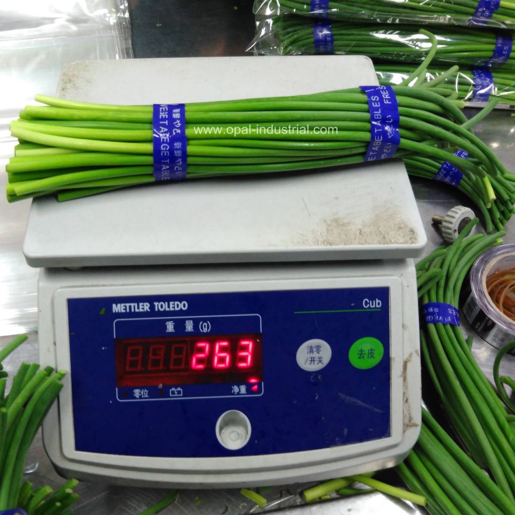 Export Quality Garlic Bolt and Garlic Sprout