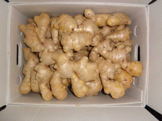 Chinese Origin Air Dry Ginger