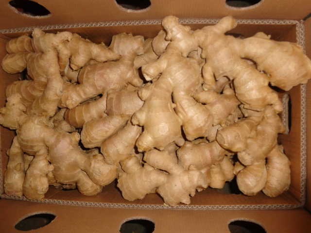 Chinese Origin Air Dry Ginger