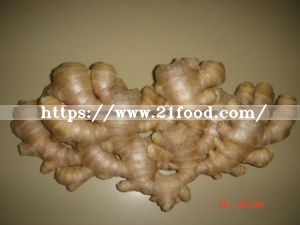 Chinese Origin Air Dry Ginger