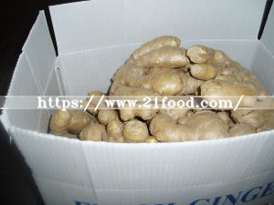 Chinese Origin Air Dry Ginger