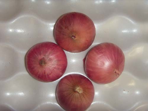 Popular Fresh Red Onion 7-9cm with Top Quality