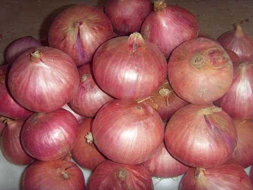 Popular Fresh Red Onion 7-9cm with Top Quality