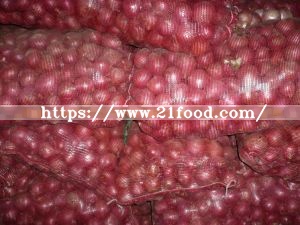 Popular Fresh Red Onion 7-9cm with Top Quality