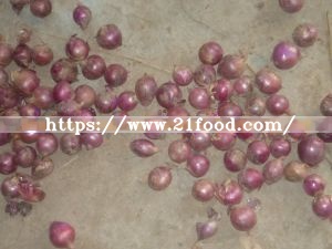 2019 Crop Shandong Red Onion