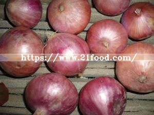 2019 Crop Shandong Red Onion