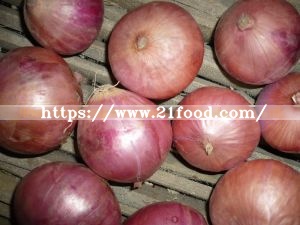 2019 Crop Gansu Fresh Red Onion