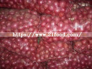2019 Crop Gansu Fresh Red Onion