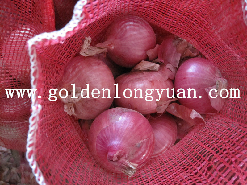 Good Quality Fresh Red Onion