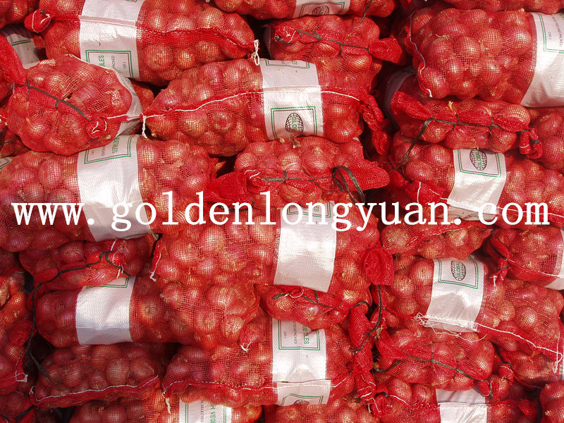 Good Quality Fresh Red Onion