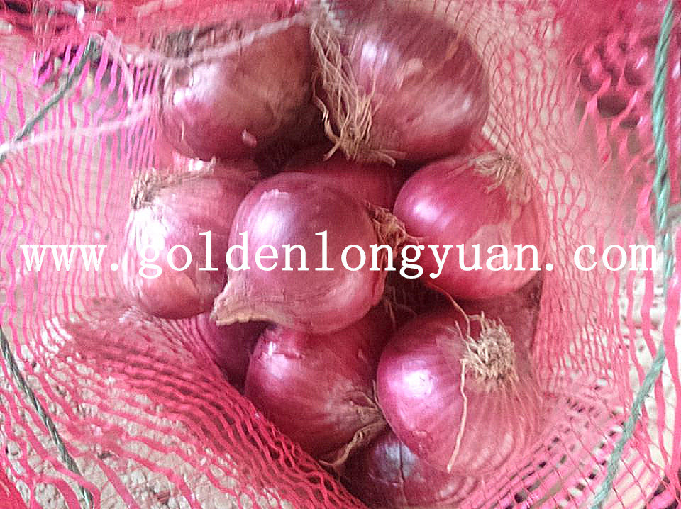 Good Quality Fresh Red Onion