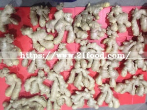 Organic Super Dry Ginger