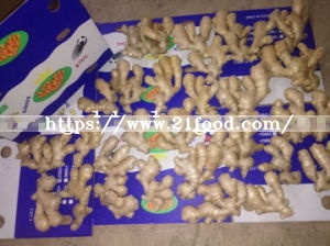 Organic Super Dry Ginger