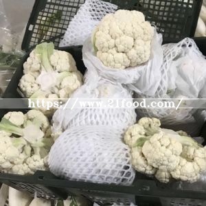Fresh Cauliflower for Exprot