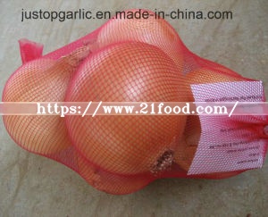 Fresh Red/Yellow Onion