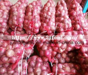 Fresh Red/Yellow Onion