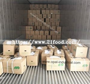 Fresh Cabbages/Spring Cabbage/Chinese Cabbage Exporters