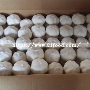 New Crop Mesh Bag Export Standard Chinese Fresh Pure Normal Snow White Garlic