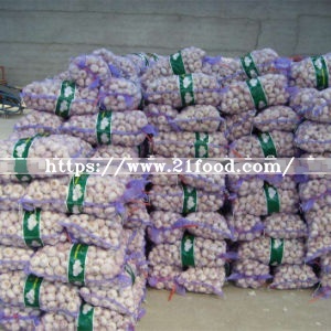 New Crop Mesh Bag Export Standard Chinese Fresh Pure Normal Snow White Garlic