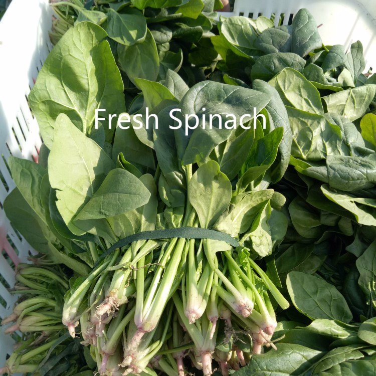 Bulk Dehydrated Kosher USDA Organic Spinach Powder