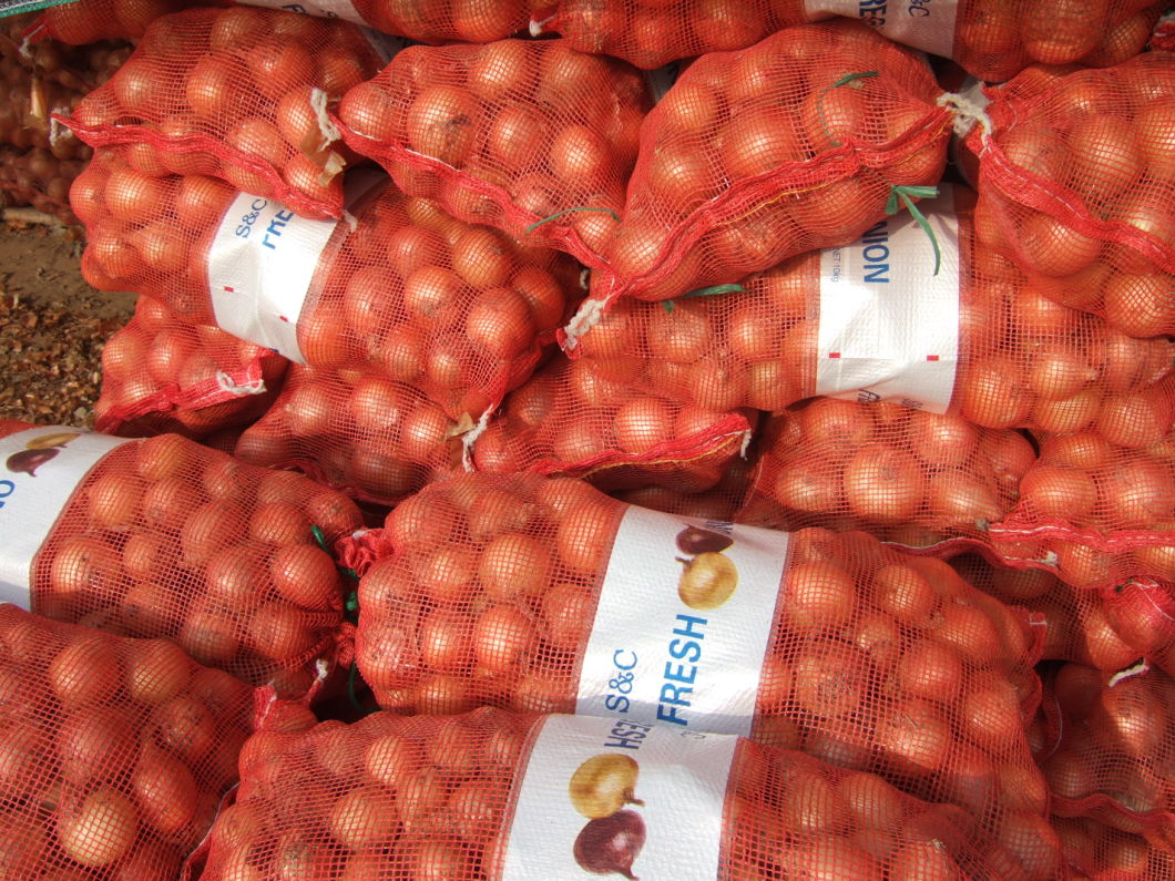2019 New Crop Red Onion Own Store