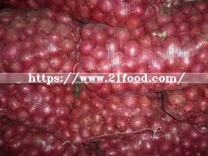 2019 New Crop Red Onion Own Store