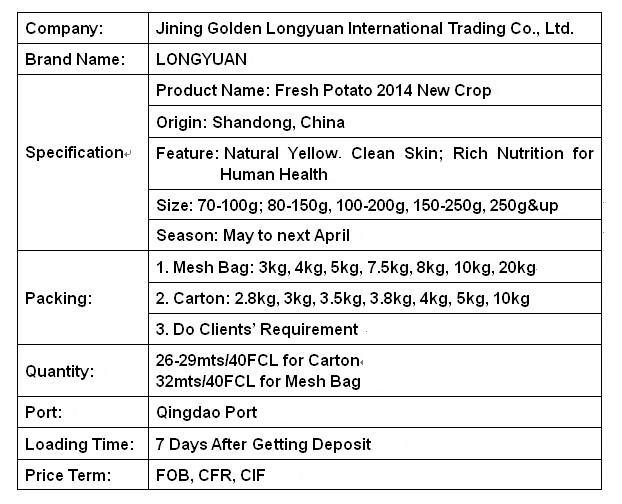 Fresh New Crop Potato at Competitive Price