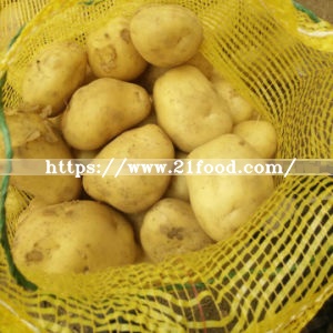 Export Quality Fresh New Crop Potato