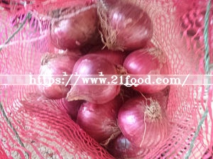 Fresh New Crop Red Onion