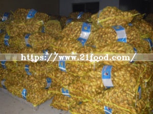 Fat Air Dry Ginger