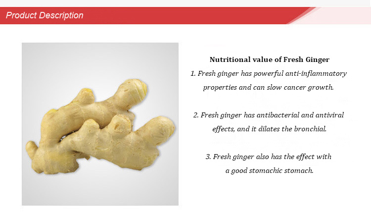 Chinese Fresh Ginger and Garlic Supplier