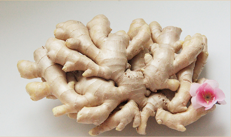 Chinese Fresh Ginger and Garlic Supplier