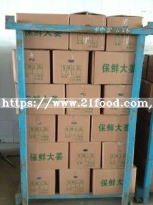 Chinese Fresh Ginger and Garlic Supplier