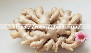 Chinese Fresh Ginger and Garlic Supplier