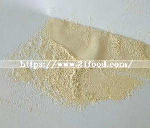 Top Quality Dehydratd Garlic Powder 100m up